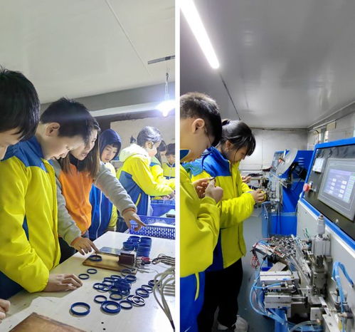 江西宜春 走進(jìn)工廠,探索勞動(dòng)教育新途徑