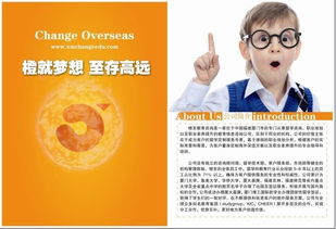 橙至教育咨詢圖冊
